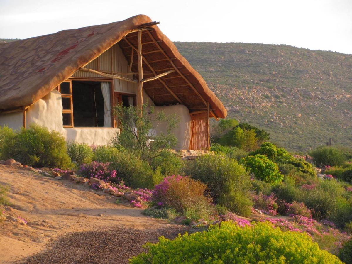 Oudrif Farm Villa แคลนวิลเลียม ภายนอก รูปภาพ