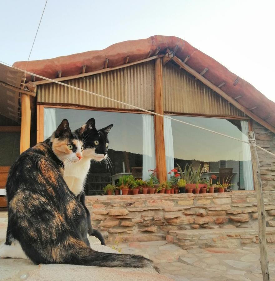 Oudrif Farm Villa แคลนวิลเลียม ภายนอก รูปภาพ
